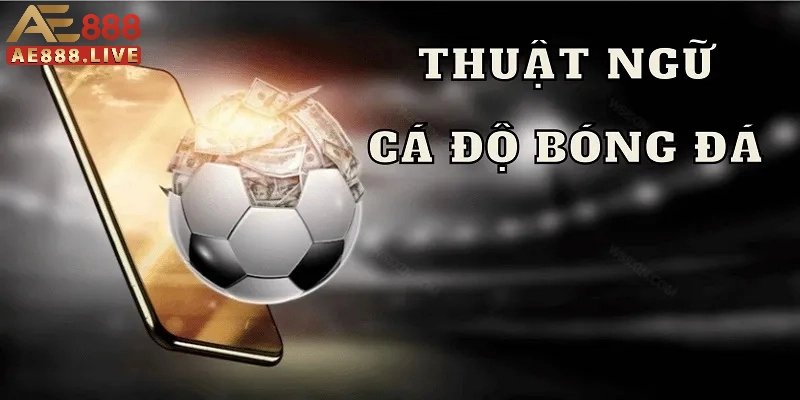 Thuật ngữ cá độ Khái niệm thuật ngữ bóng đá